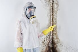 Best Commercial Mold Inspection  in Bowling Green, MO